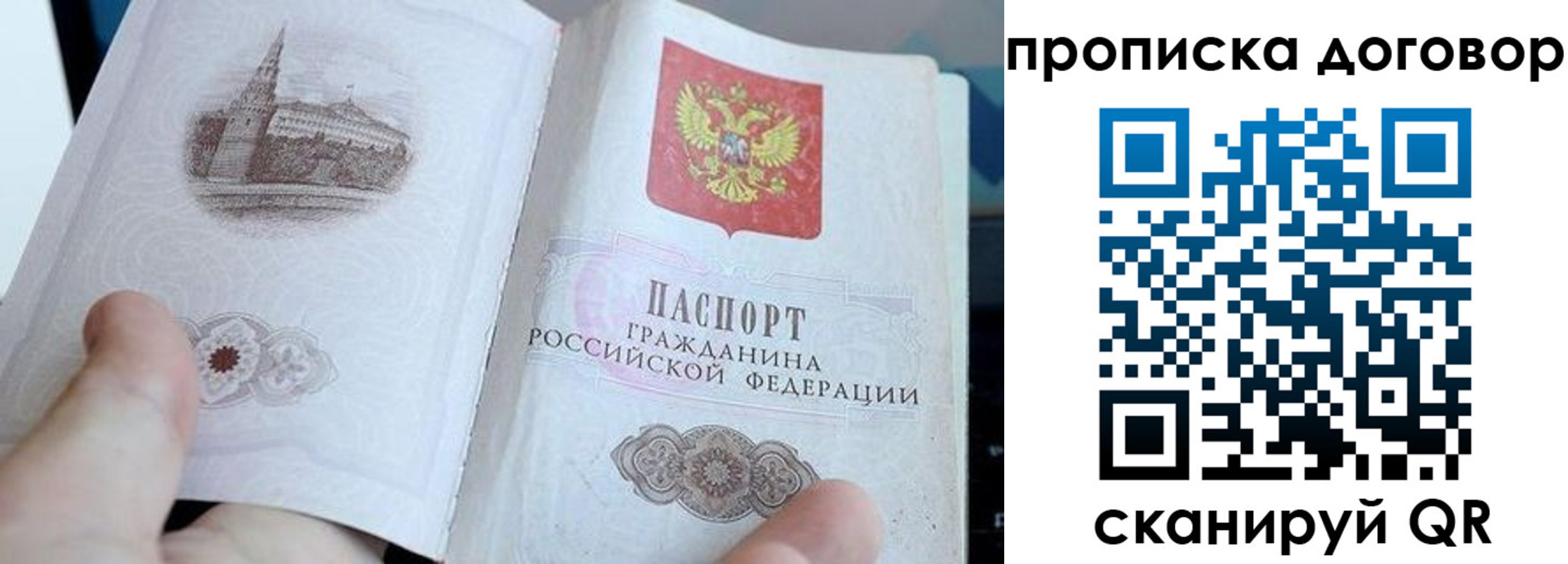 прописка законно в Ейске